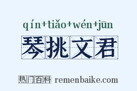 琴挑文君是什么意思的图片